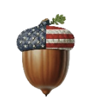 Acorn America Logo